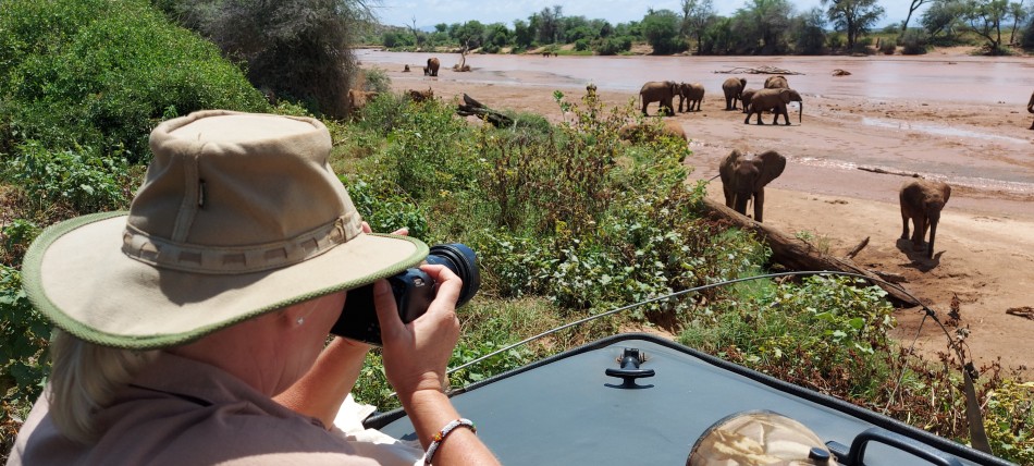 Elefantenbeobachtung im Flussbett des Ewaso Ngiro