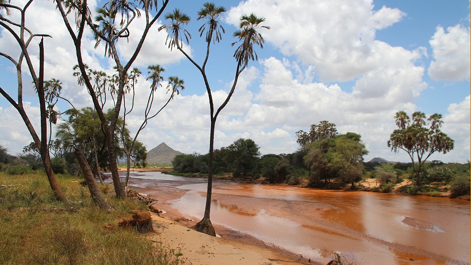 Samburu Reservat, Ewaso Ngiro River