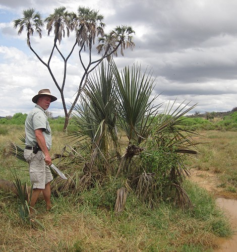 Festgefahren im Samburu Reservat