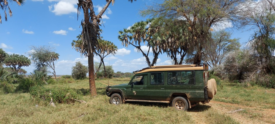 alleine auf Pirschfahrt im Samburu Reservat