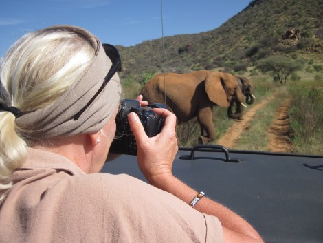 Auf Pirschfahrt im Samburu Reservat