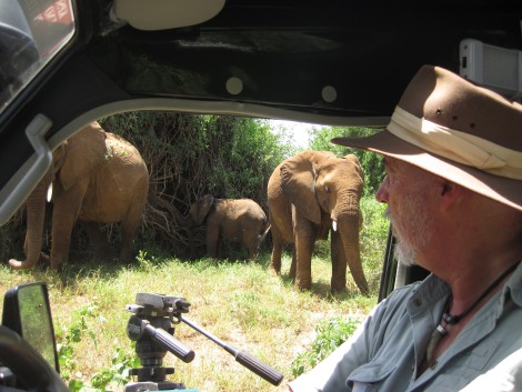 Auf Pirschfahrt im Samburu Reservat