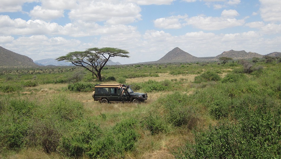 Pirschfahrt im Samburu reservat