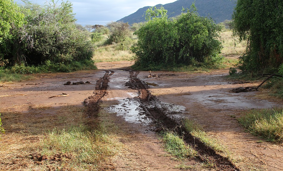 Festgefahren im Samburu Reservat