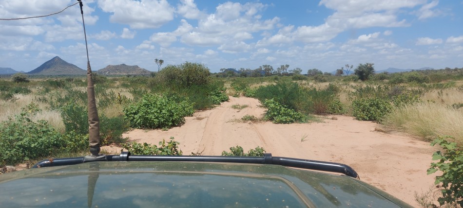 Auf Game Drive im Samburu