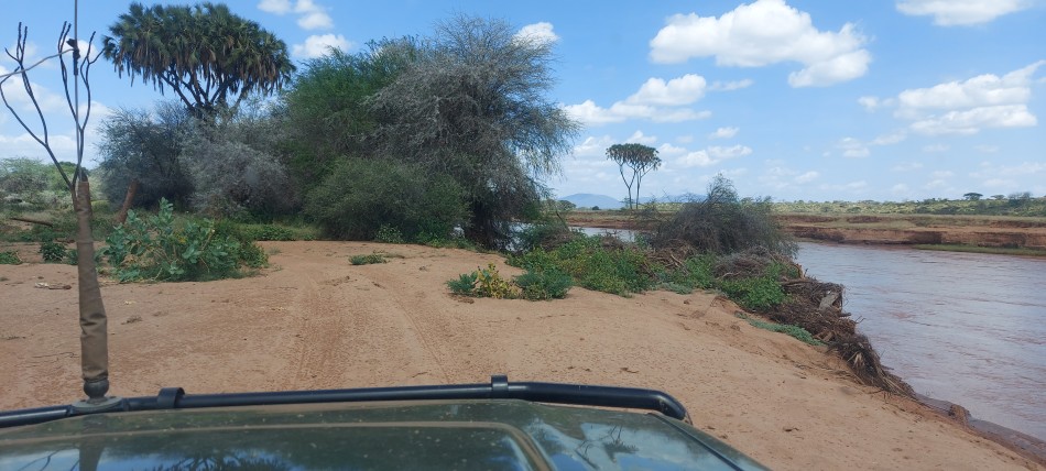 Auf Pirschfahrt im Samburu