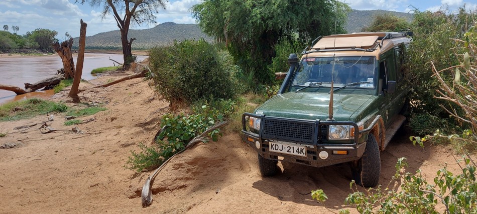 Auf Pirschfahrt im Samburu