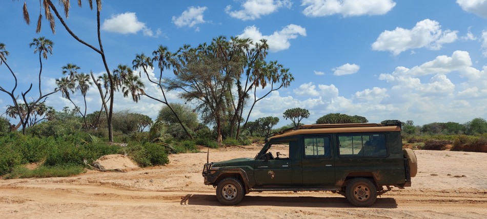 Auf Pirschfahrt im Samburu Reservat