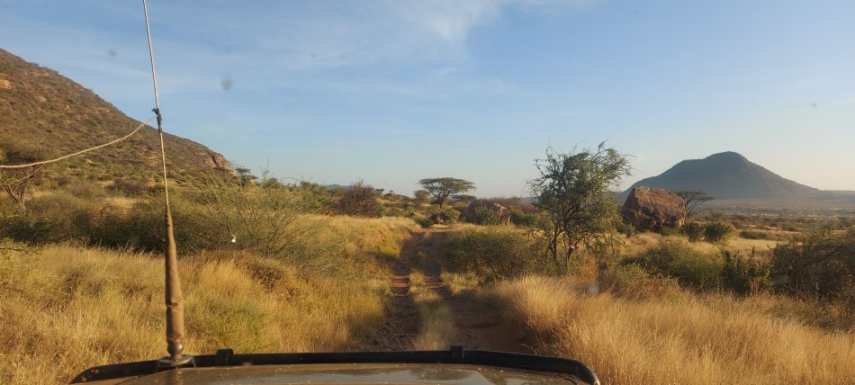 Auf Pirschfahrt im Samburu Reservat