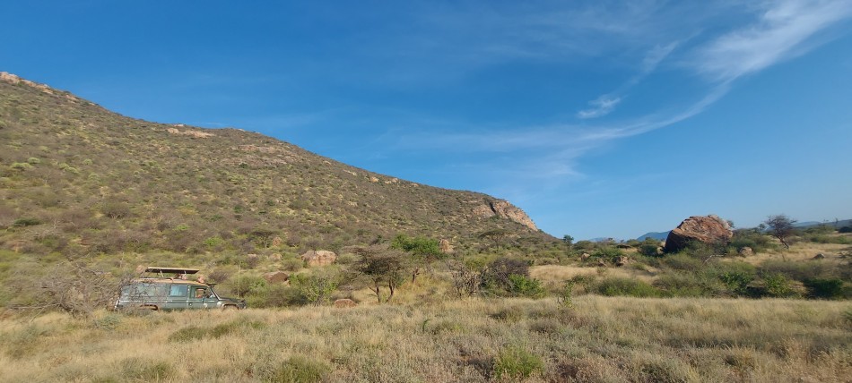 Auf Pirschfahrt im Samburu Reservat