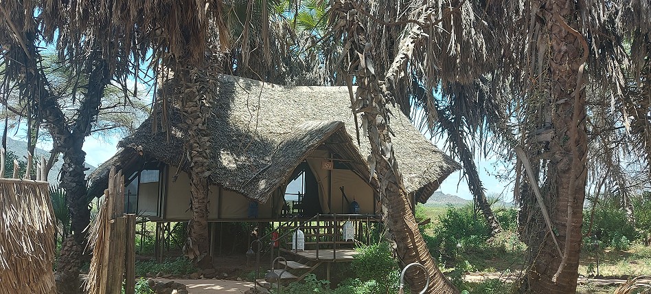 Soroi Larsens Camp - Samburu Resere
