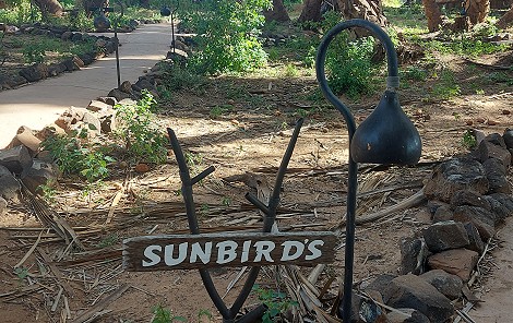 Soroi Larsens Camp - Samburu Reservat