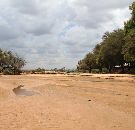 Soroi Larsens Camp - Samburu Reservat