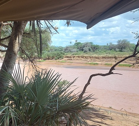 Soroi Larsens Camp - Samburu Reservat