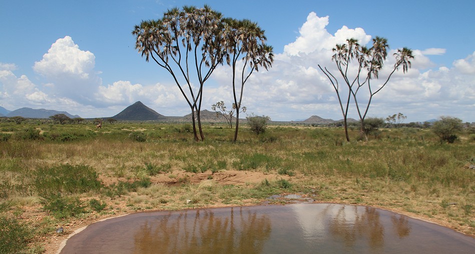 Foto Hide, Soroi Larsens Camp, Samburu