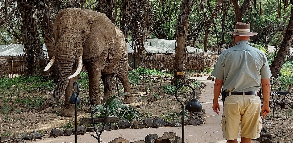Jörg Reinecke, Elephant encounter in Soroi Larsens Camp - Samburu Resere