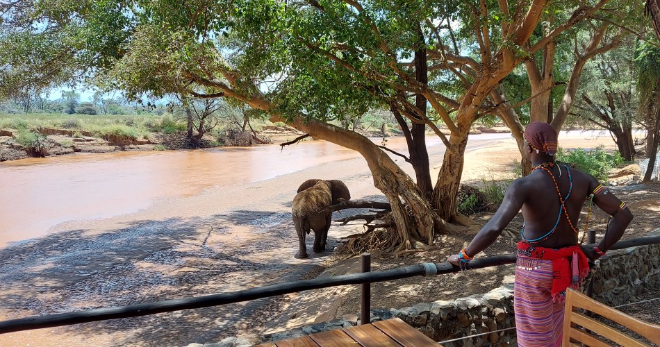 Soroi Larsens Camp - Samburu Reservat