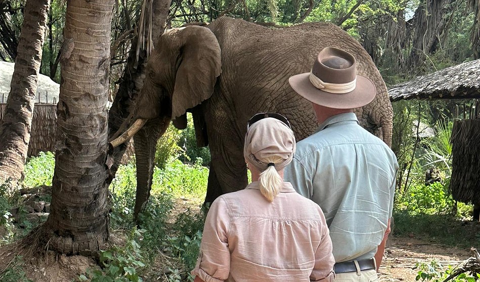 Petra und Jörg Reinecke, Elefantenbegegnung im Samburu Reservat