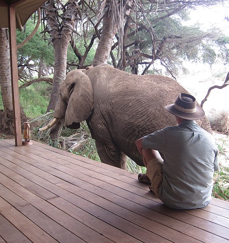 Elephant encounter in Soroi Larsens Camp - Samburu Resere