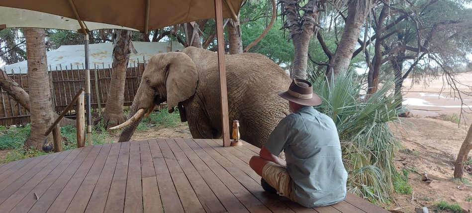 Elephant encounter in Soroi Larsens Camp - Samburu Resere