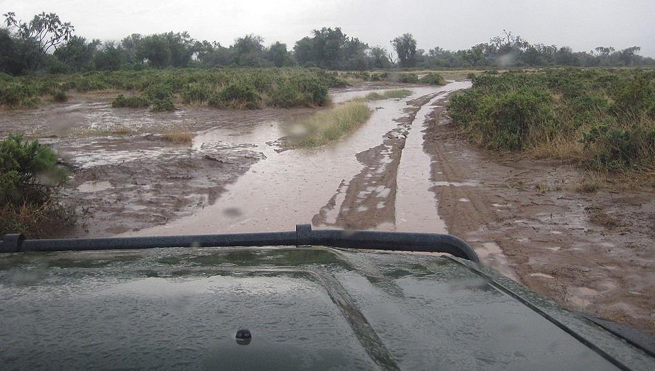 El Nino, Regen in der Trockenzeit im Samburu
