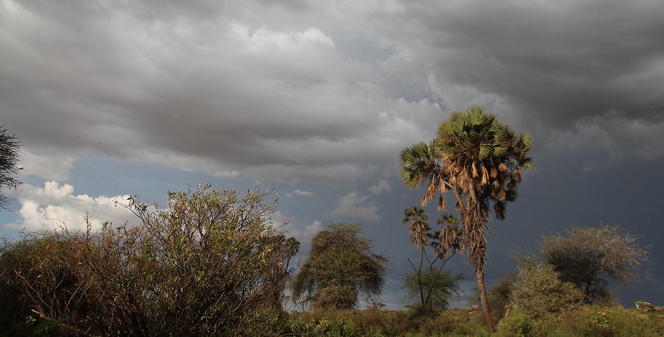 Wolkenbilder über dem Samburu Reservat