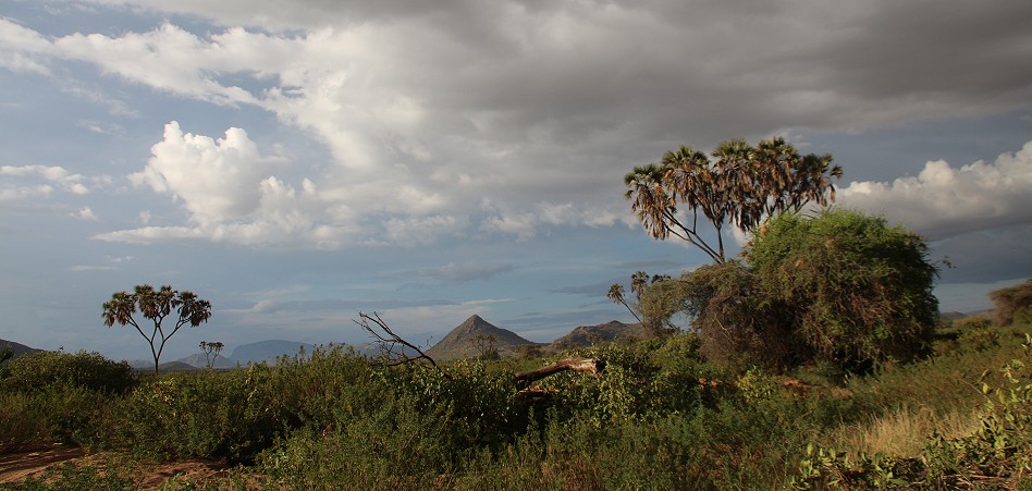 Wolkenbilder über dem Samburu Reservat