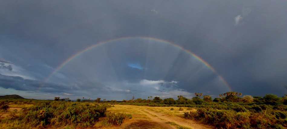 Regenbogen über dem Samburu Reservat