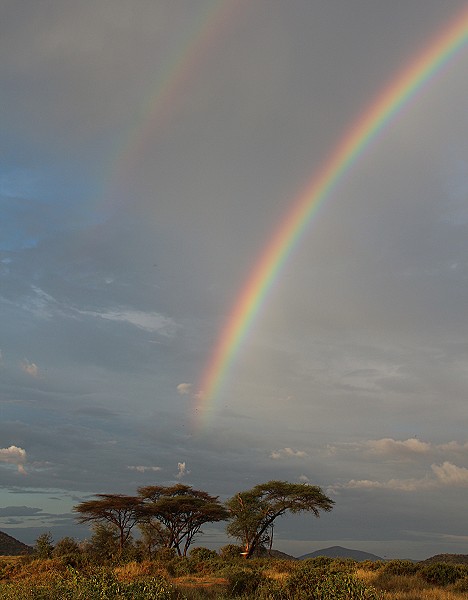 Regenbogen über dem Samburu Reservat