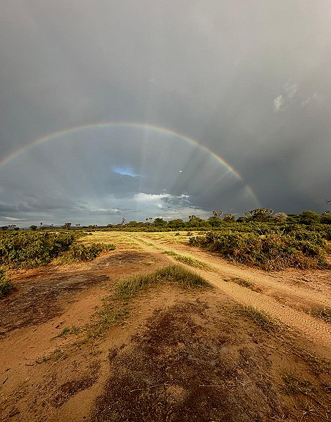 Regenbogen über dem Samburu Reservat
