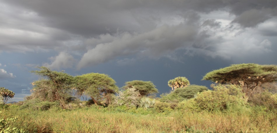 Wolkenbilder über dem Samburu Reservat