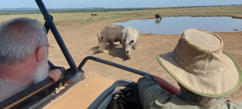 Nashorn Begegnungen und Beobachtungen im Solio Reservat