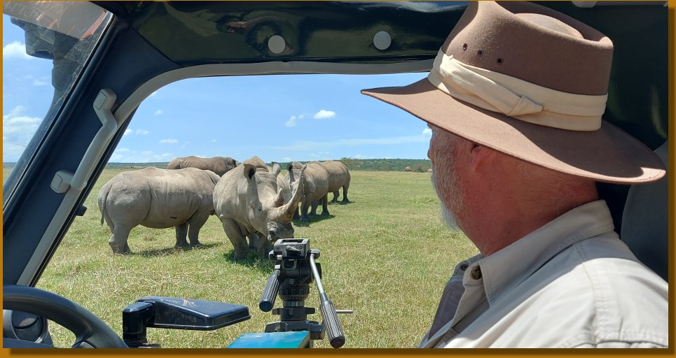 Nashorn Begegnungen und Beobachtungen im Solio Reservat