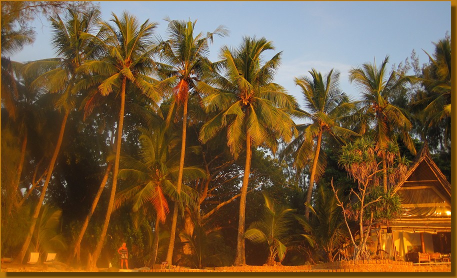 Msambweni Beach, Mbuyu Beach Bungalows