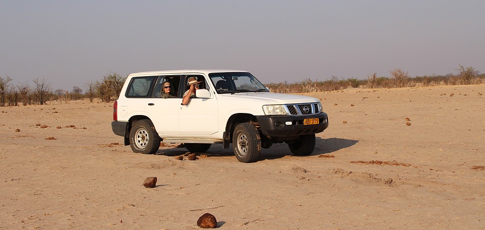 Pirschfahrt im Hwange National Park