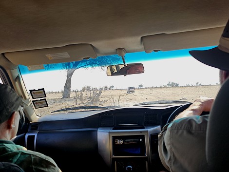 Camp Hwange
