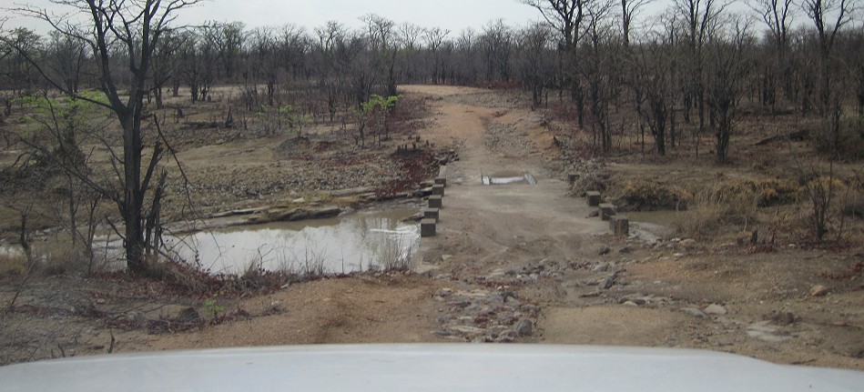 Hwange National Park nach dem ersten großen Regen im Oktober 2024