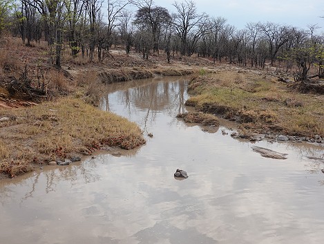 Hwange National Park nach dem ersten großen Regen im Oktober 2024