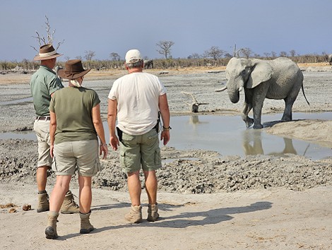 Elefanten Begegnung am Shumba Dam