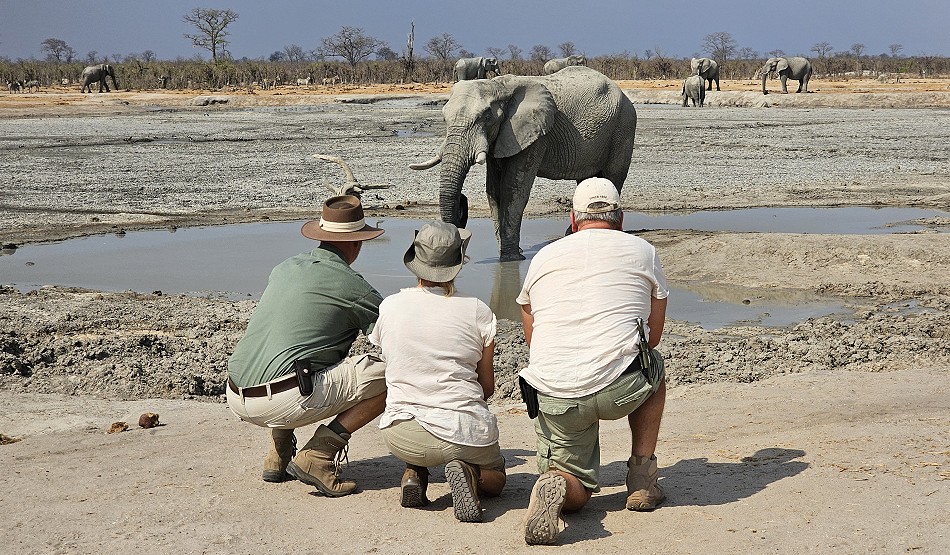 Elefanten Begegnung am Shumba Dam