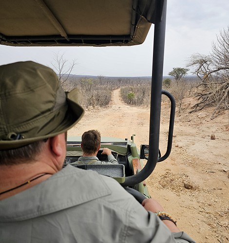 zurück zum Camp, Hwange Safari