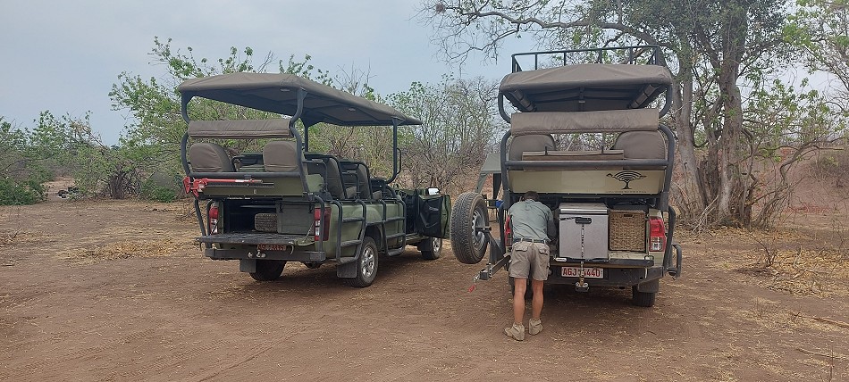 zurück im Bush Camp
