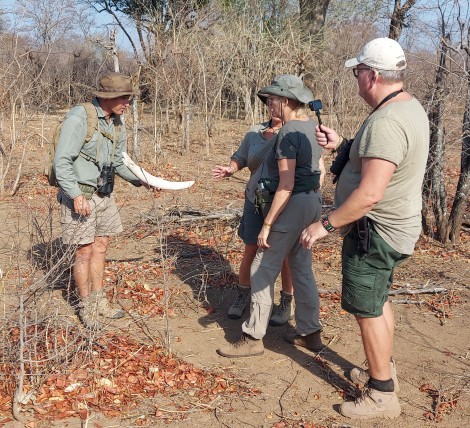zu Fuß im Hwange National Park