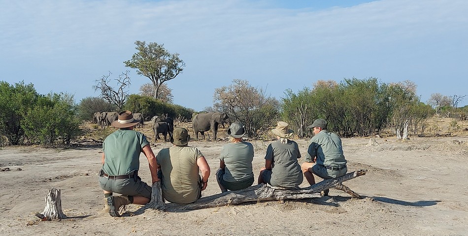 Fusspirsch, Inzila Mobile Safaris