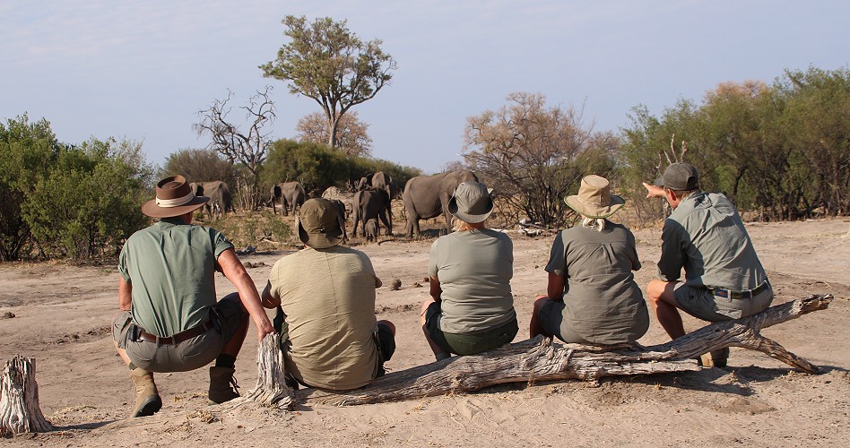 Fusspirsch, Inzila Mobile Safaris