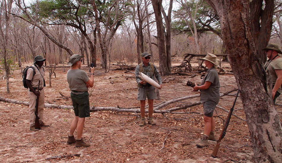 Fusspirsch, Inzila Mobile Safaris