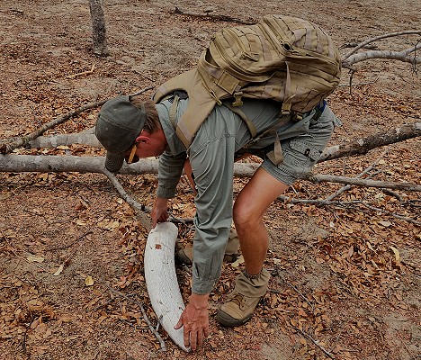 Fusspirsch, Inzila Mobile Safaris