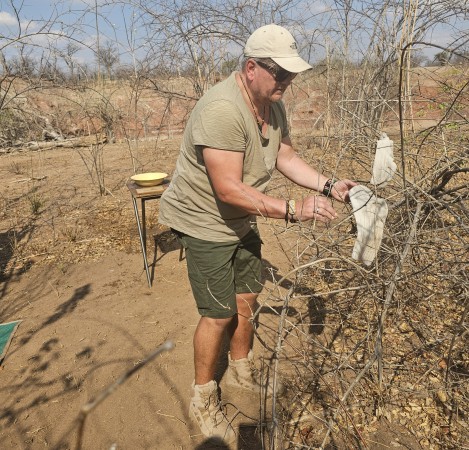 Bush Camping im Hwange National Park