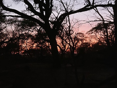 Inzila mobile Safaris Acacia Camp