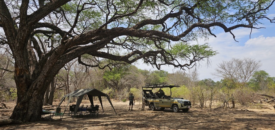 Acacia Camp, Inzila Mobile Safaris